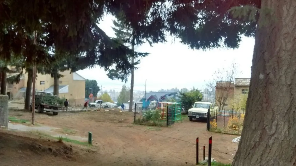 Bariloche recupera especies verdes durante tareas de limpieza