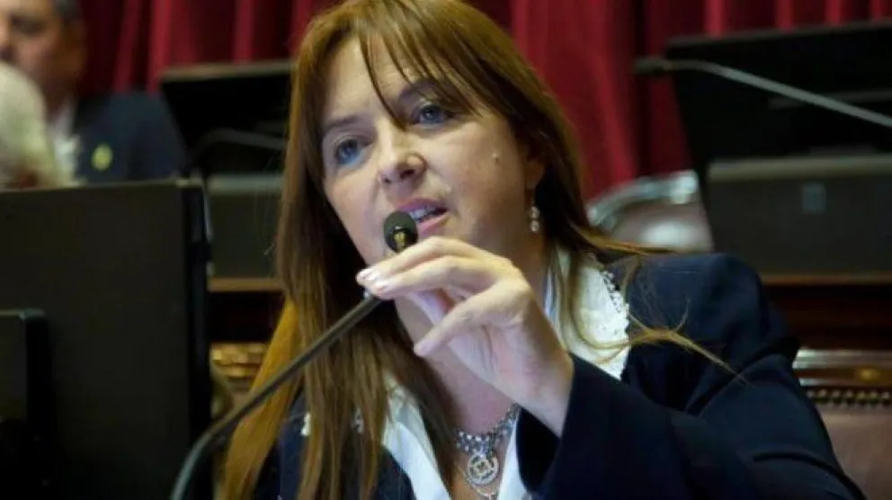 Odarda pide que Nación pague las facturas de gas de establecimientos públicos