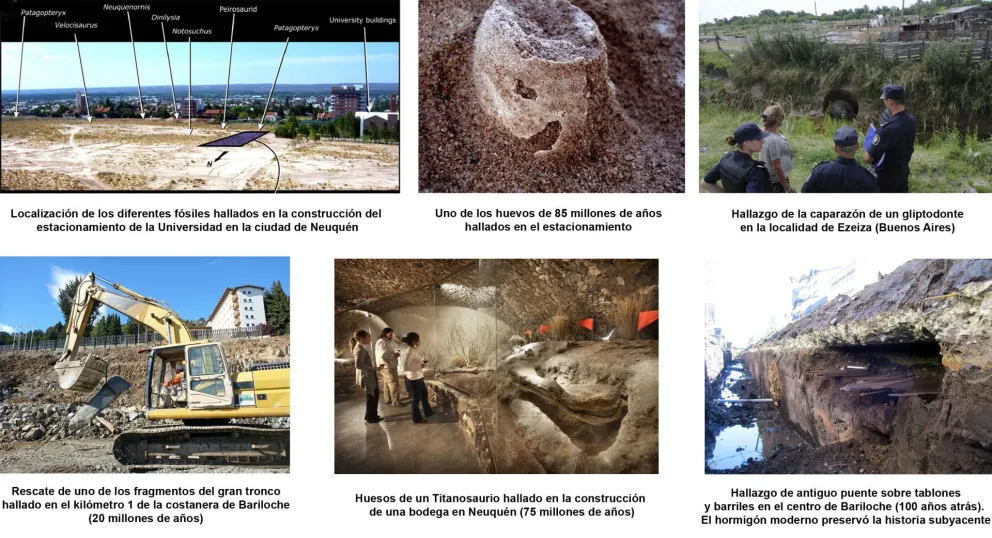 Fósiles debajo de nuestras casas