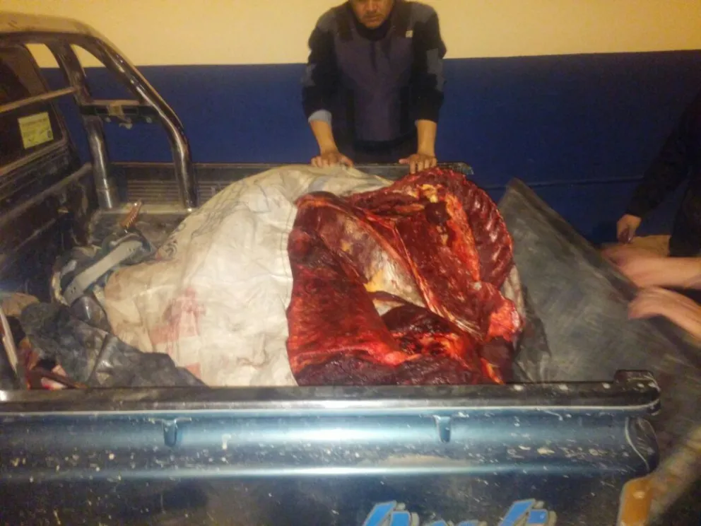 Secuestraron 230 kilos de carne de caballo