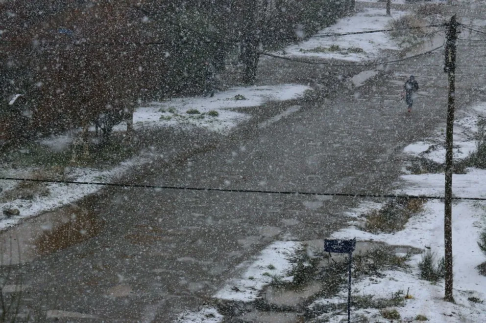 ¡Llegó la nieve a la ciudad!