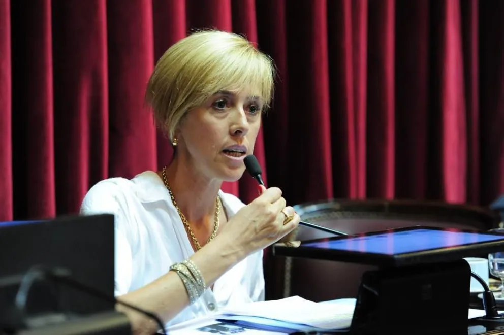 “La decisión de reducir el 32% del presupuesto se contradice con el desarrollo estratégico de la Nación”