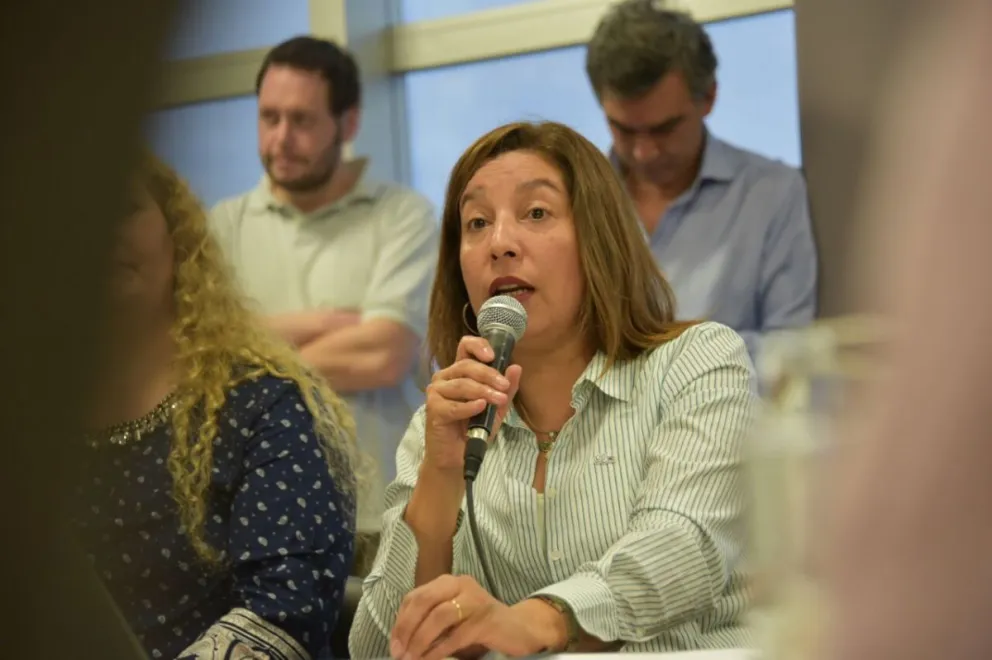 Parque Central: crearán la comisión mixta en la próxima sesión legislativa