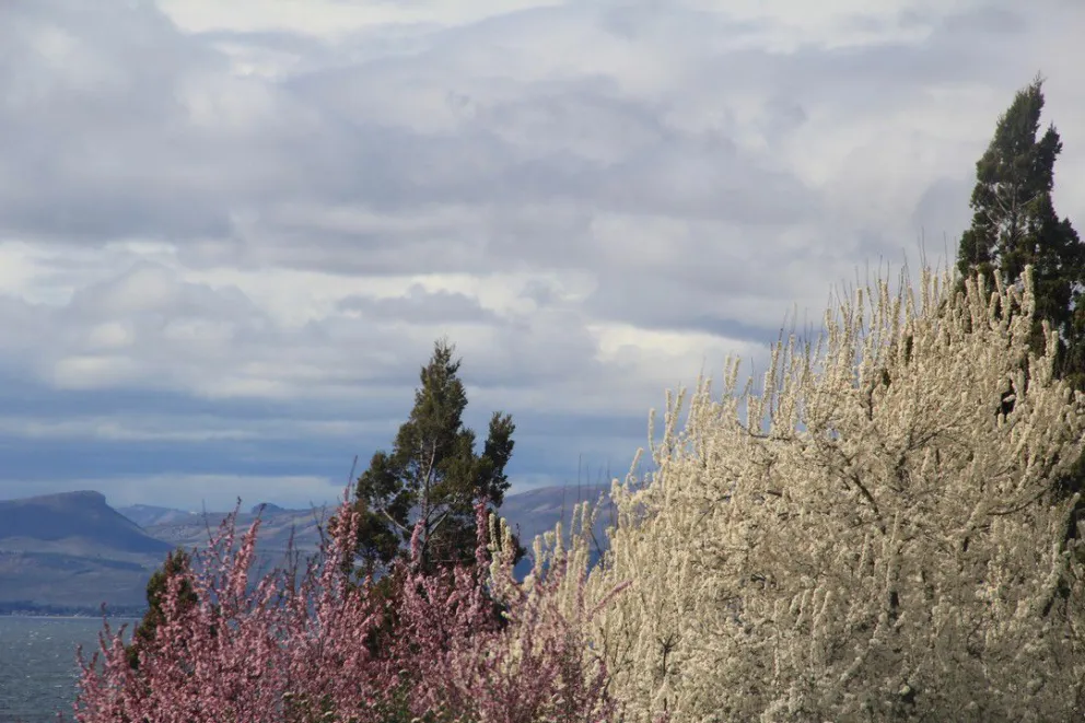 ¿Cómo estará el clima durante el domingo?
