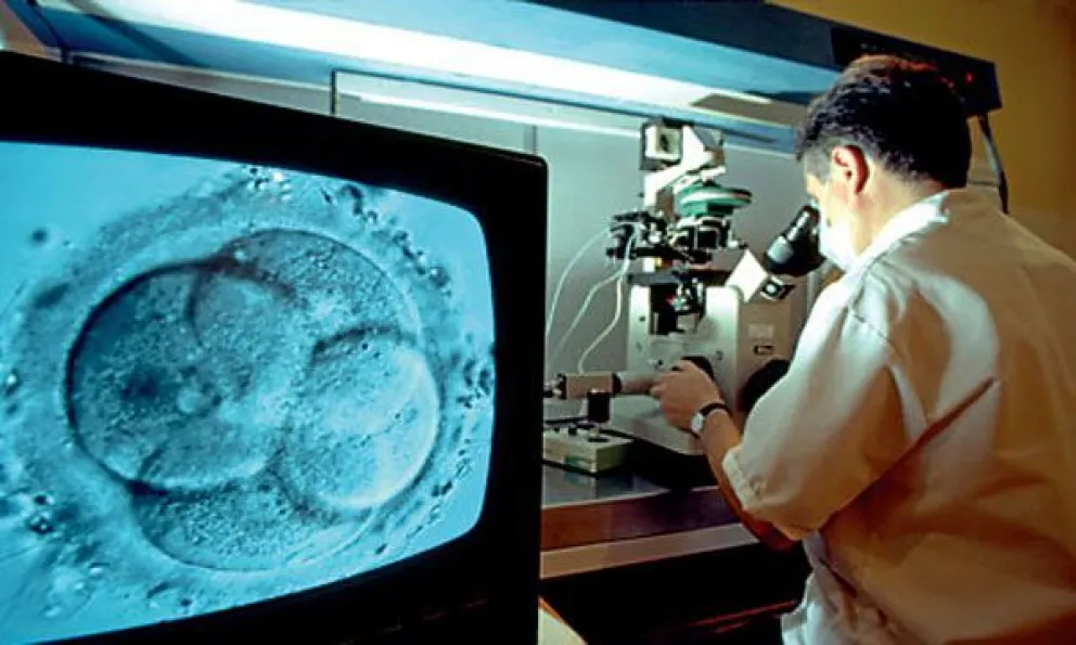 Ipross lanzó los programas de fertilización asistida y obesidad mórbida