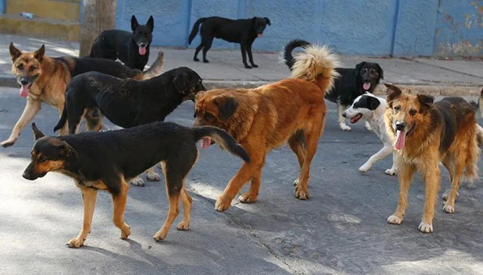 Foto: ilustrativa.