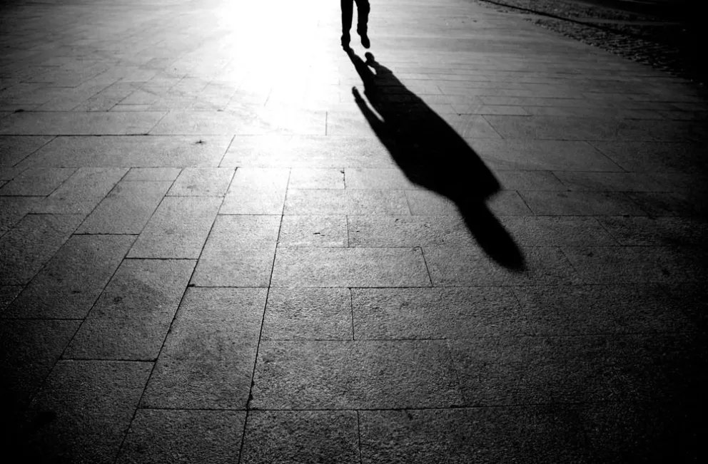 La sombra: esa parte oscura mía