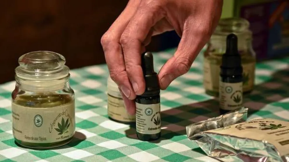 Pidieron que el Senado trate el uso del cannabis y sus derivados con fines medicinales