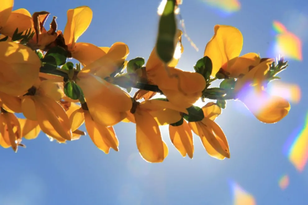 Foto: Patricia Caviglia. 