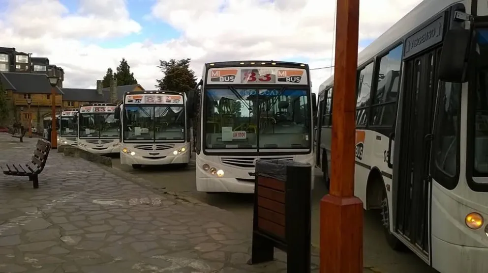 Hasta ahora llegaron 88 unidades y restan 12 para completar la flota prometida por la empresa.