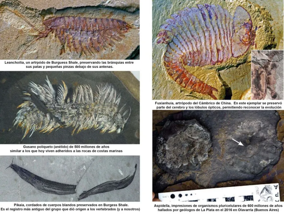 Año nuevo, vida nueva