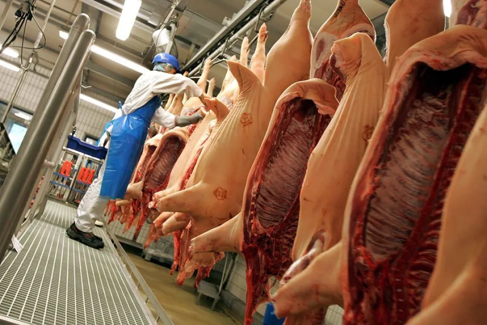 Justicia Federal frenó ingreso de carne de cerdo a la región
