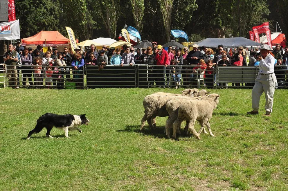 Foto: gentileza.