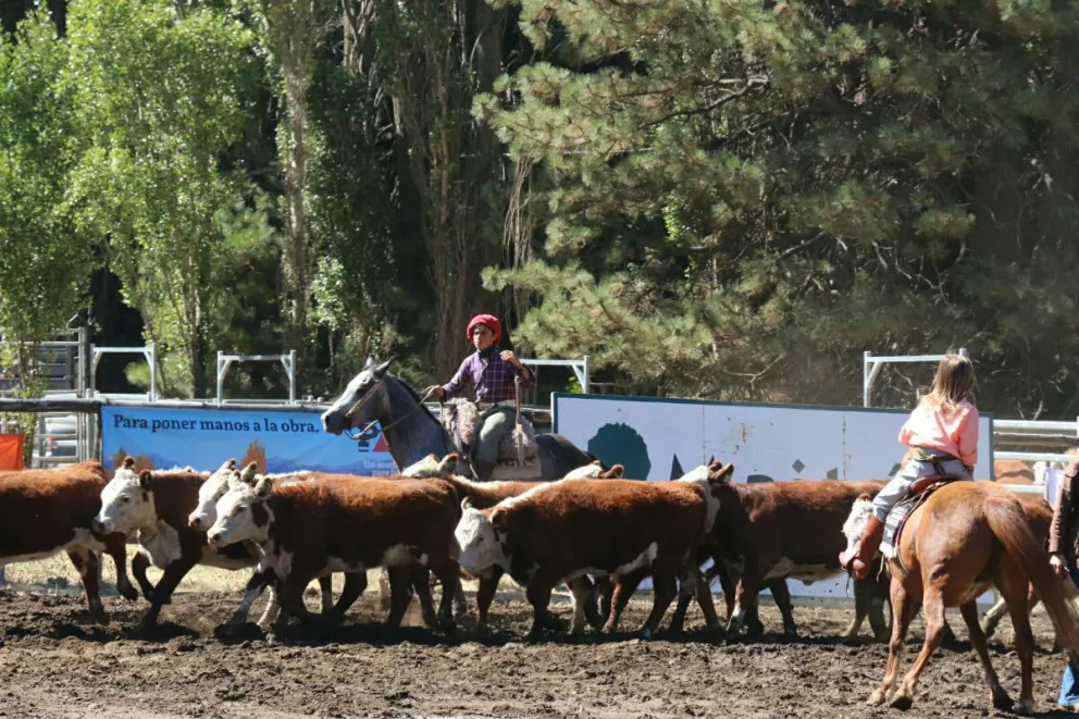 Foto: Emiliano Rodríguez.