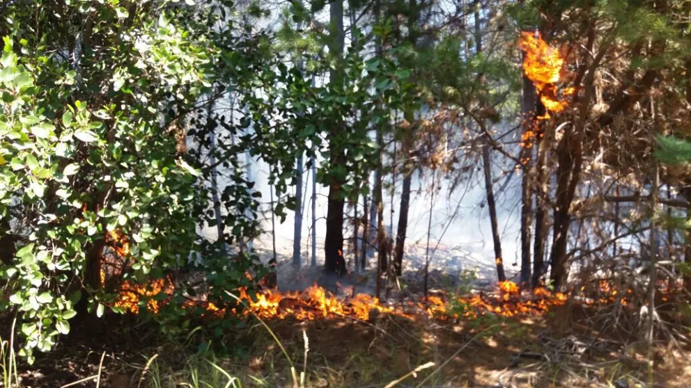 Lograron extinguir el incendio en barrio Botánico