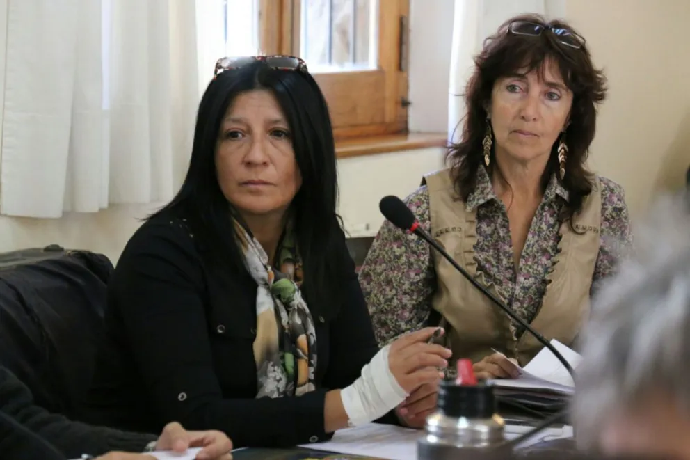 La concejal Painefil denunció que fue “encerrada” en lago Escondido