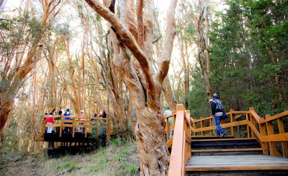 Se aprobó el Plan de Reapertura Parcial de los parques nacionales Nahuel Huapi y Arrayanes