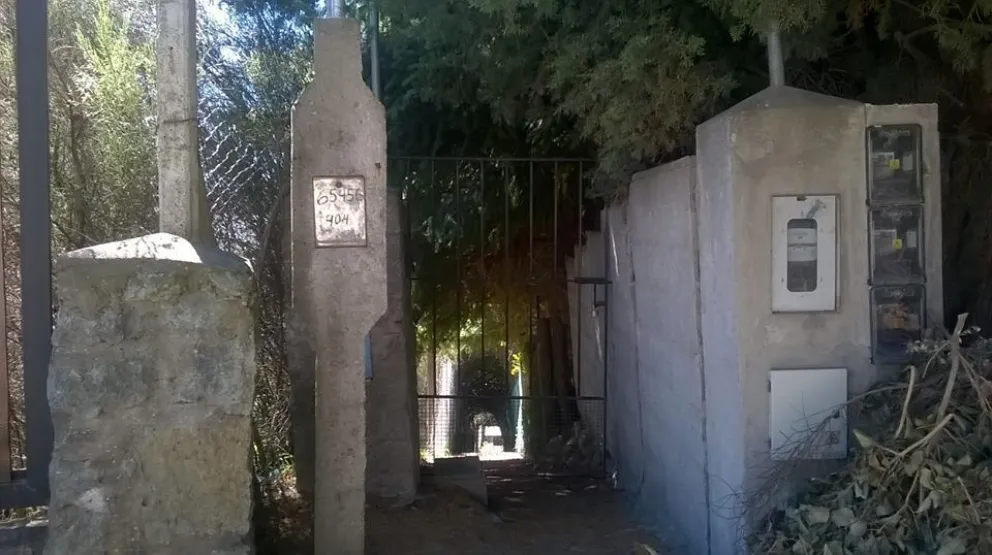 Ni bien observaron la situación, los vecinos se pusieron en contacto con Árbol de Pie. 