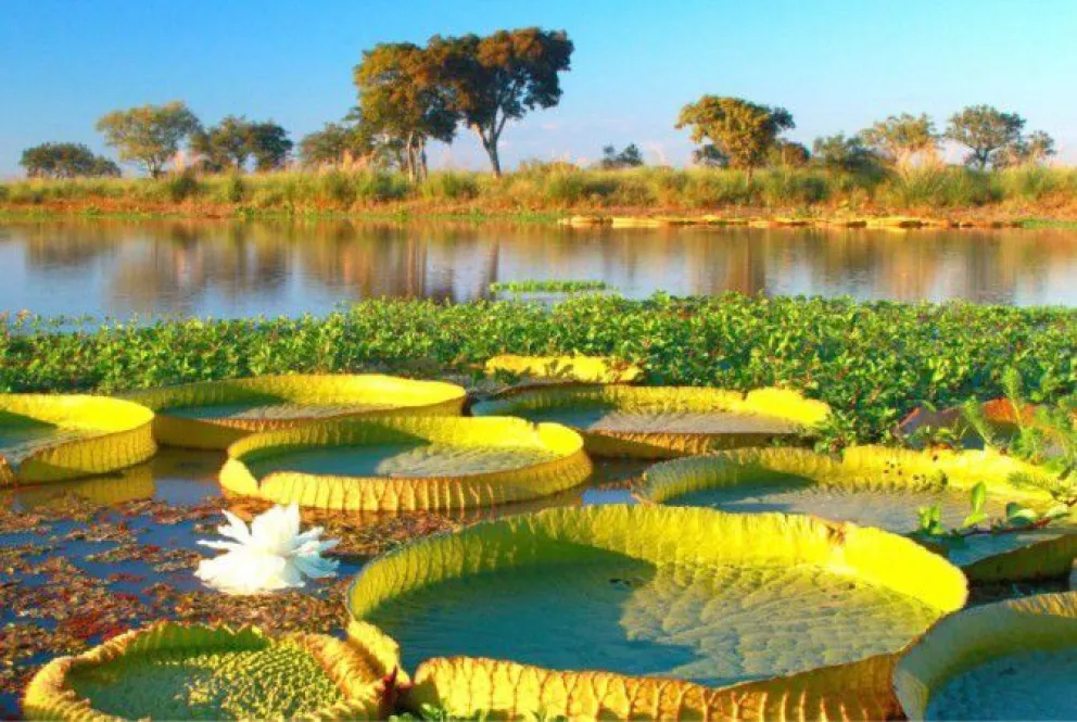 Un paraíso escondido en Paraná