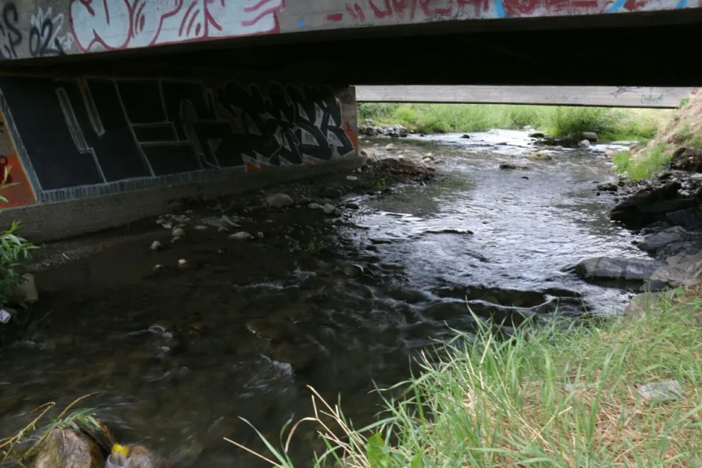 El arroyo Ñireco fue afectado por un alud.