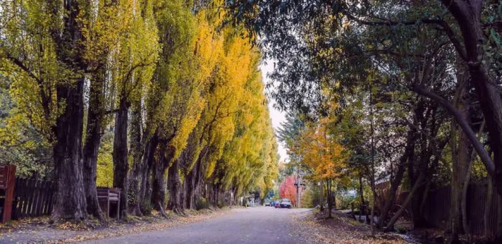 Derrumbe en el camino viejo a Colonia Suiza