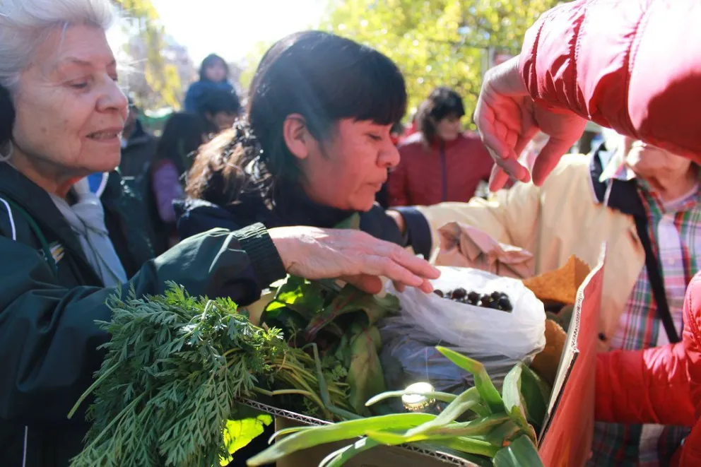 La feria de horticultores cerró la temporada con un positivo balance