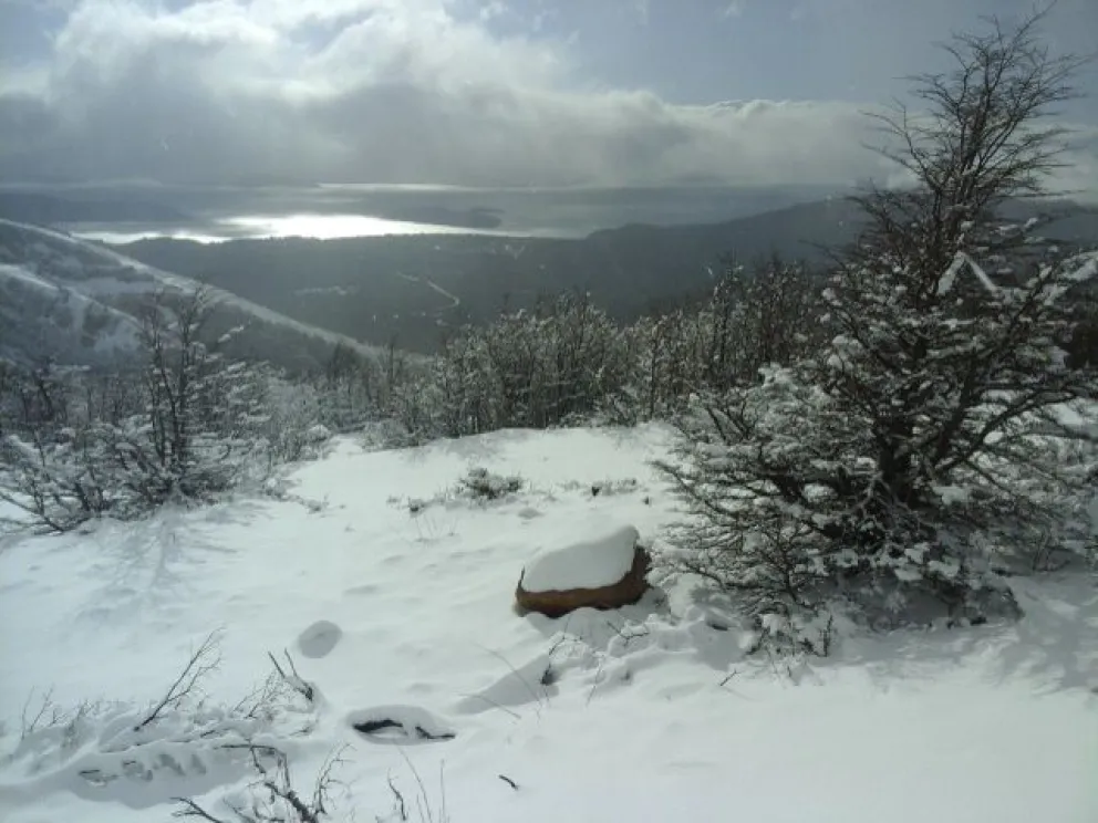 Fotos: Emmanuel Quiñones. 