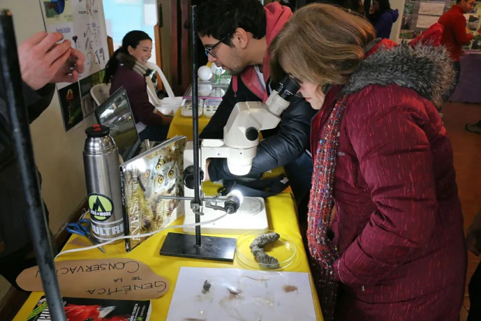 La muestra continuará hasta el viernes 9 de junio.