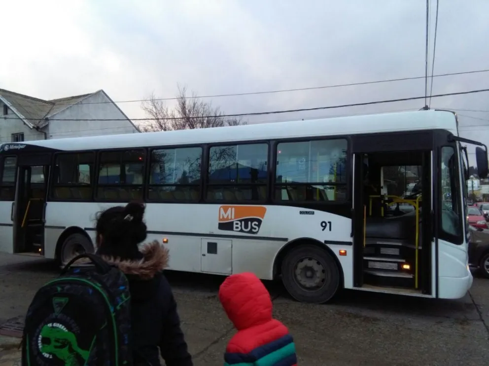 “La emergencia general visibilizó la precariedad del sistema de transporte público local”