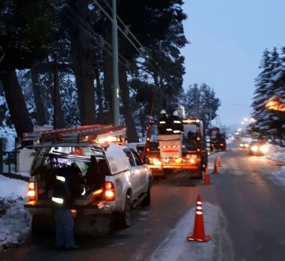 Habrá corte de luz masivo por caída de un árbol