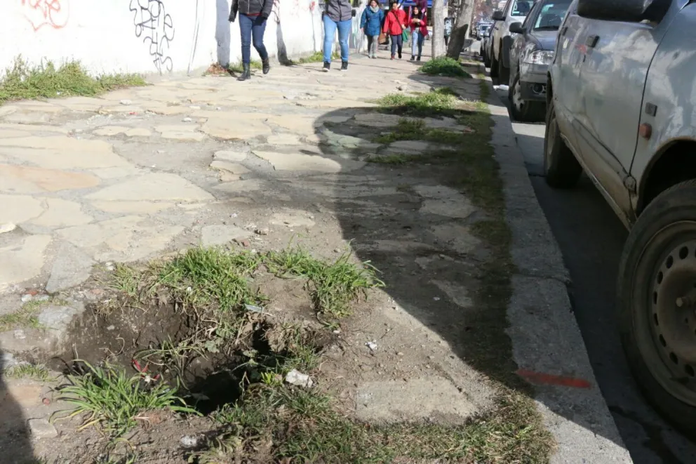 Foto: Emiliano Rodríguez. 