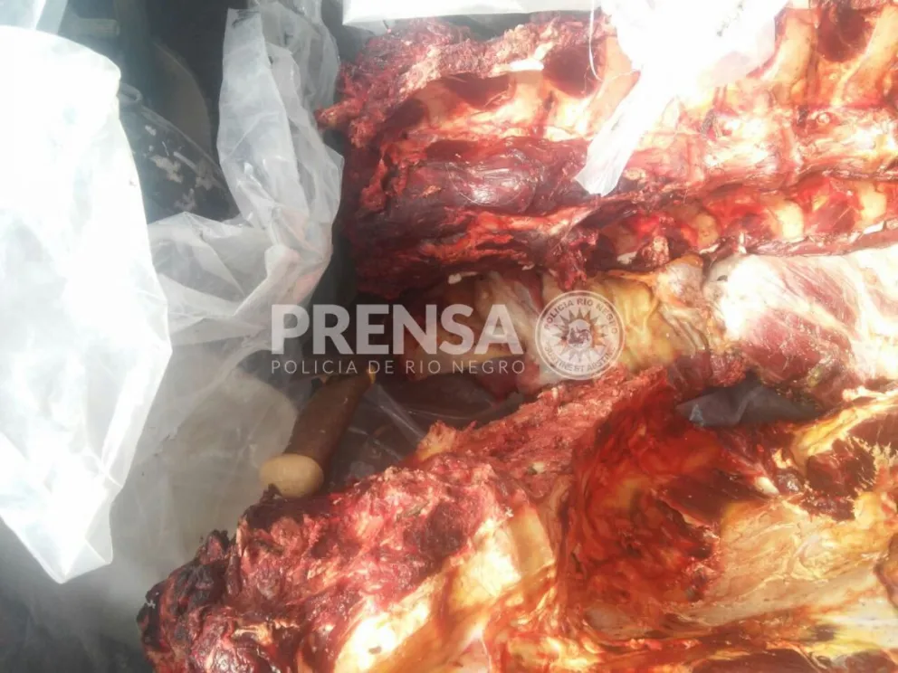 Foto: gentileza Policía de Río Negro.