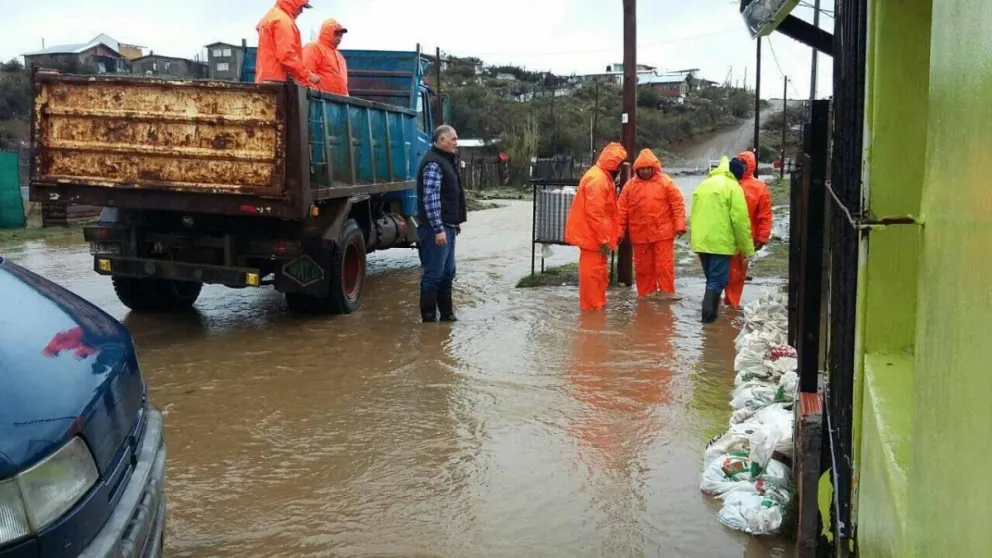 Foto: gentileza. 