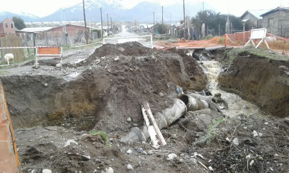 Imagen del Nahuel Hue.