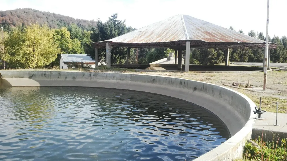 Problemas con el agua en varios barrios de la ciudad