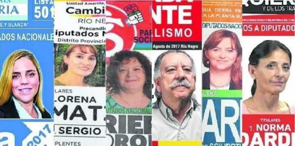 Uno por uno: ¿Quiénes son los candidatos a diputado por Río Negro?
