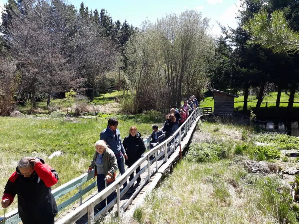 Adultos mayores disfrutaron a pleno