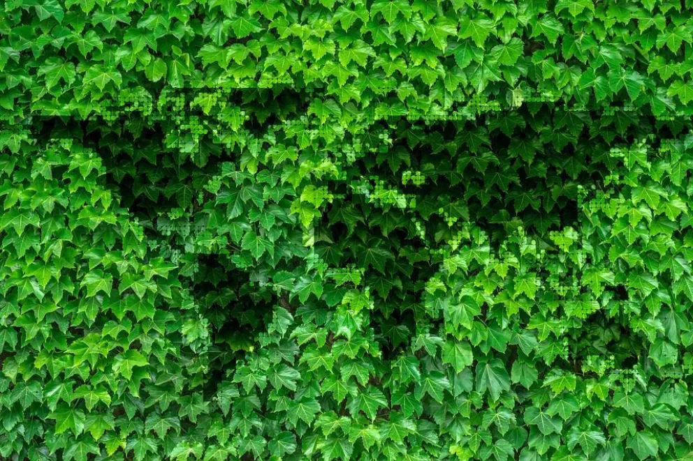 La UNRN brindará una charla informativa sobre Ingeniería Ambiental
