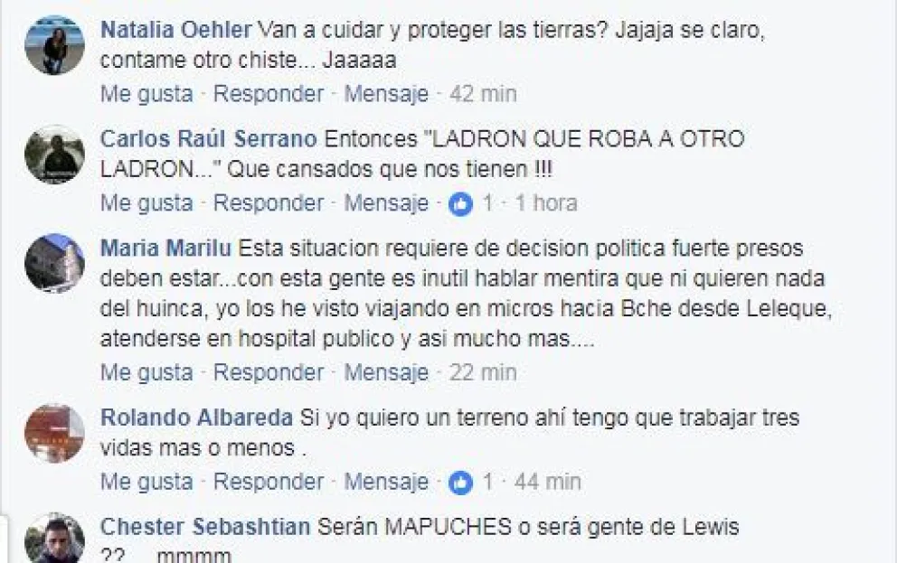Llueven las críticas al asentamiento mapuche. 