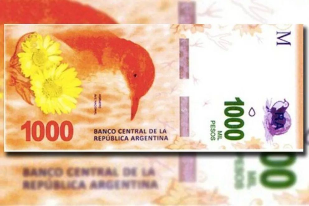 Foto: internet.