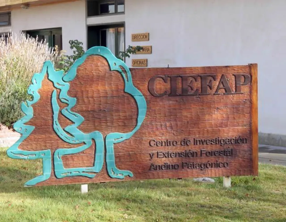 Instalaran una caldera que usará residuos forestales para generar energía