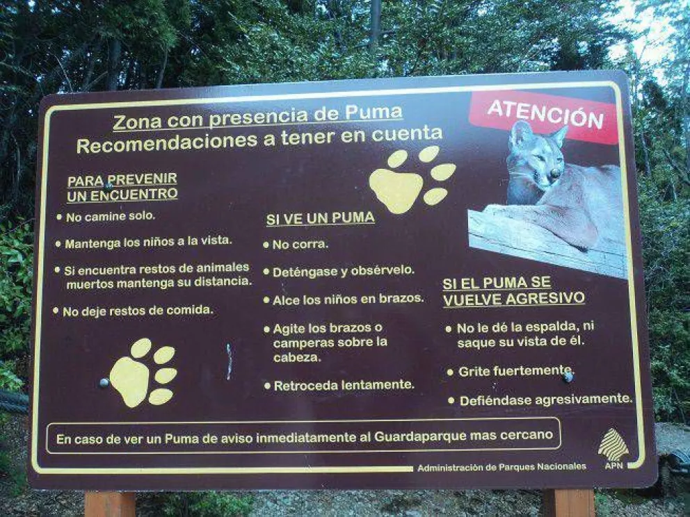 La aparición de un puma provocó el cierre del Parque Municipal Llao Llao
