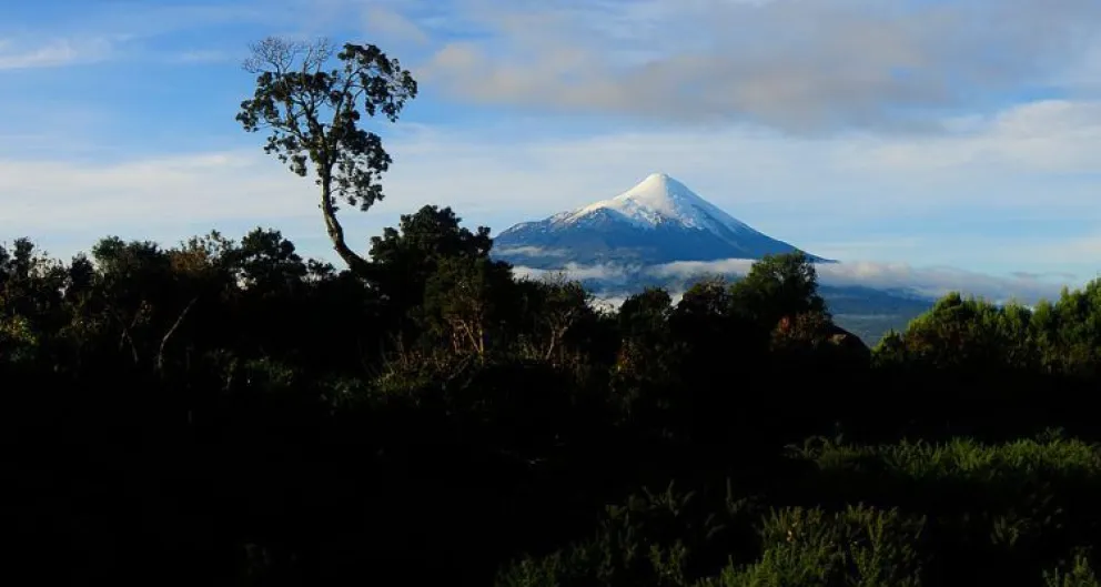 Video: “Tenemos que comenzar a mirar al volcán con responsabilidad”