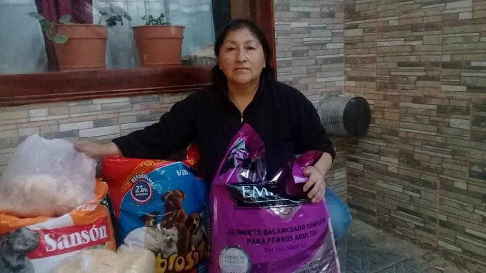 Patricia, una mujer que dedica su vida a ayudar a perros callejeros y ahora necesita la colaboración de todos