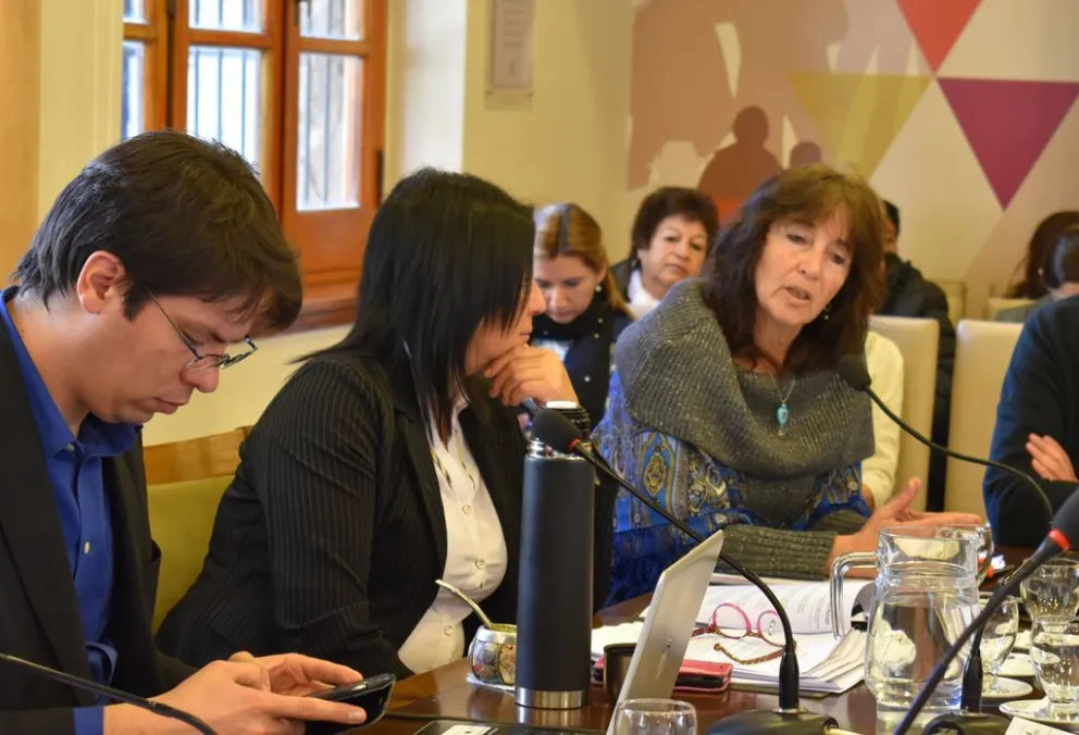 Asume Viviana Gelain en Ambiente y Desarrollo Urbano 