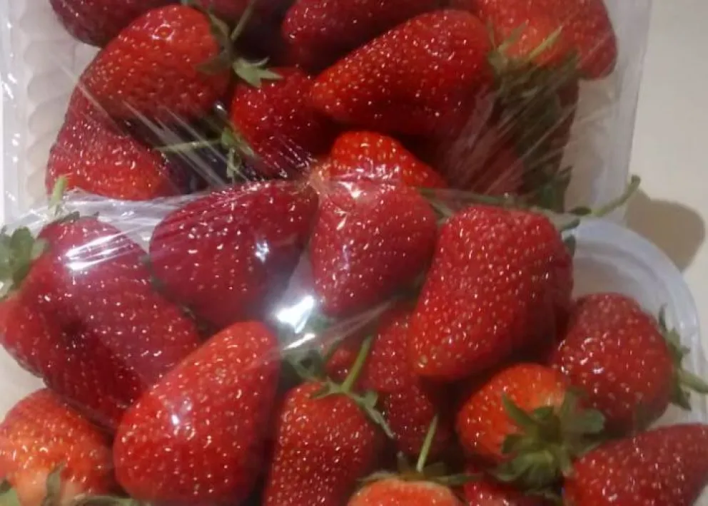 El miércoles vuelven las frutillas de Plottier al Mercado Comunitario