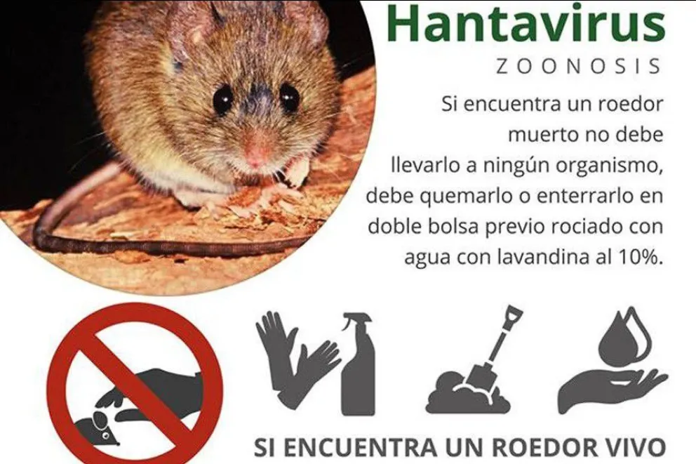Refuerzan medidas de prevención en la región para evitar el contagio de hantavirus