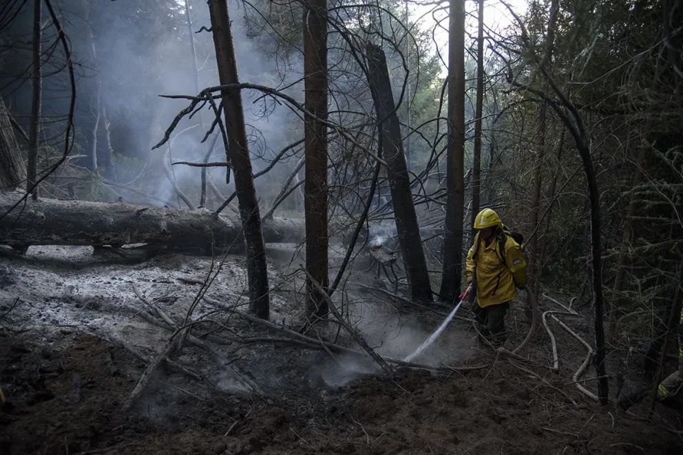 Los focos de incendios demandaron el trabajo de los medios aéreos.