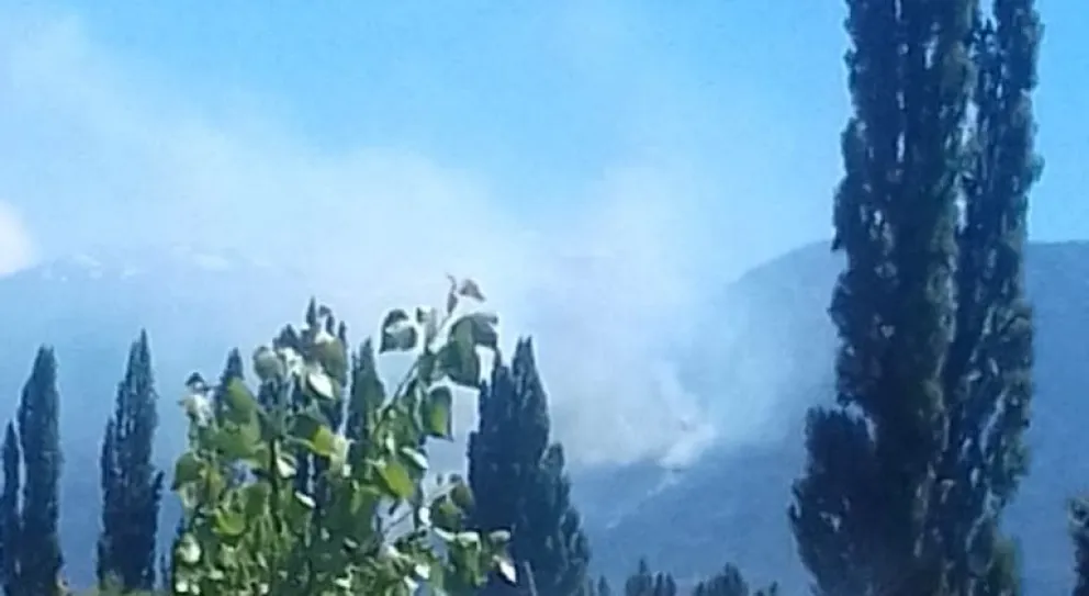 Más de 170 personas combaten un incendio forestal en Lago Puelo