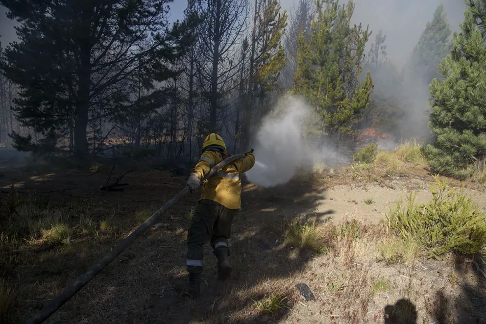 En los últimos cuatro meses hubo más de 300 focos de incendio